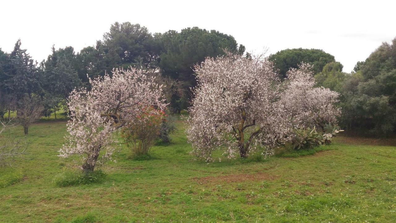 B&B Pirandello - Residence Villa Margherita Αγκριτζέντο Εξωτερικό φωτογραφία